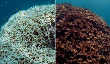 cambiamento climatico