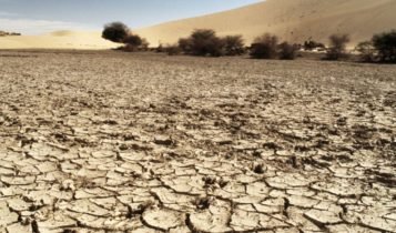 cambiamento climatico