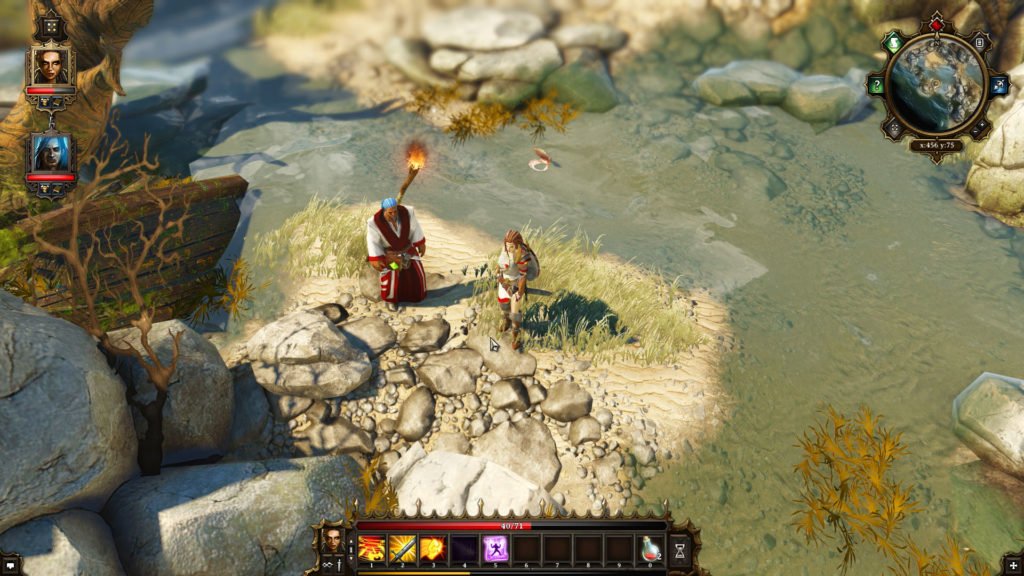 I 5 migliori giochi co-op per PC - Divinity Original Sin