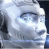 Bot