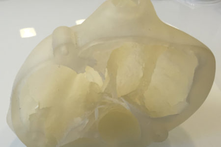 Il cuore “stampato” 3D funziona come quello naturale