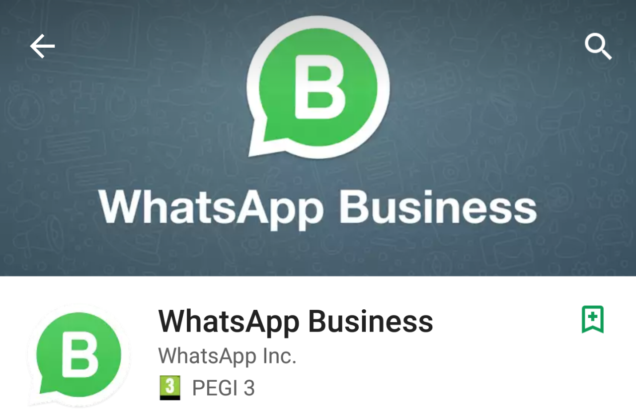 Whatsapp Business: everything it’s up to the bot