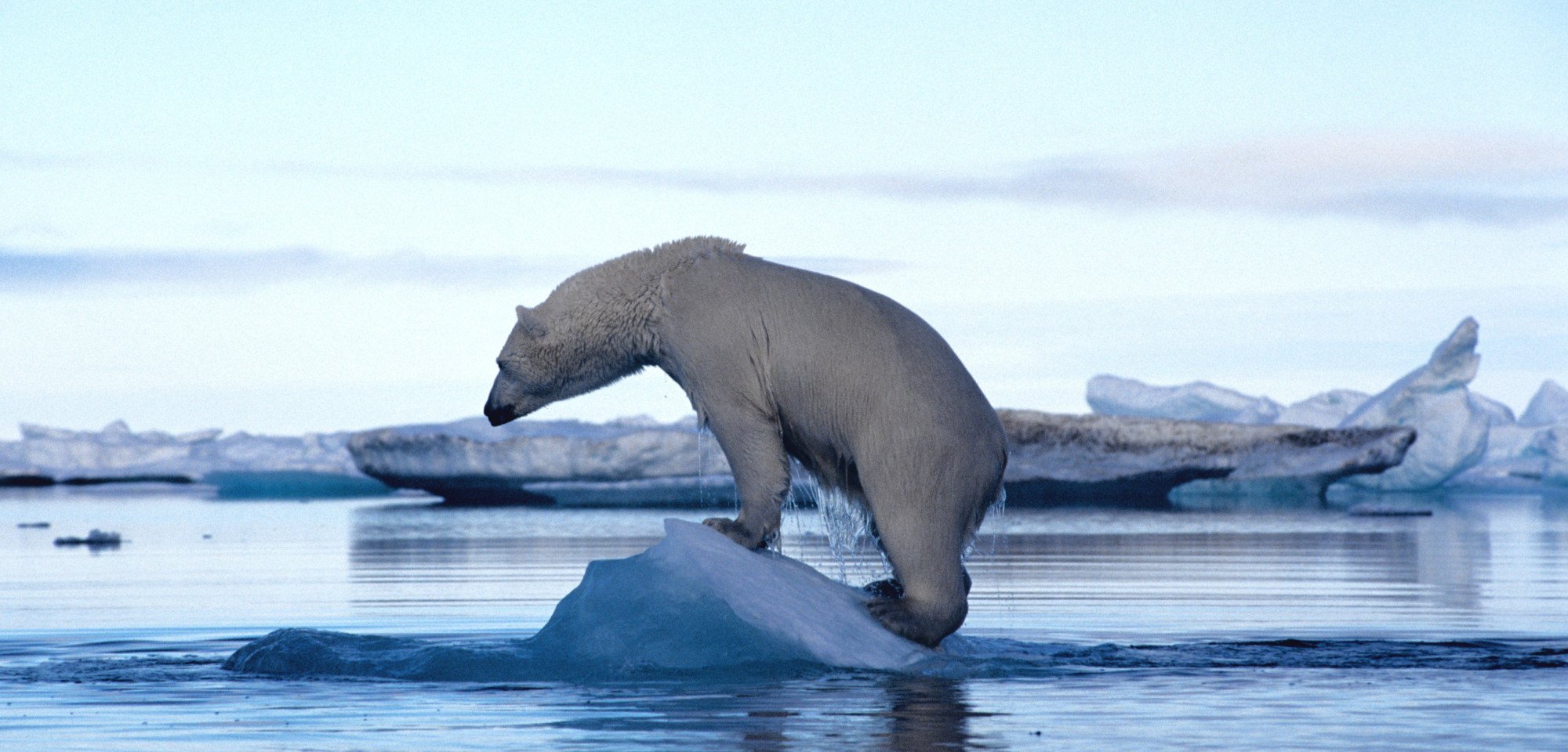 cambiamento climatico