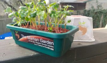 martian garden