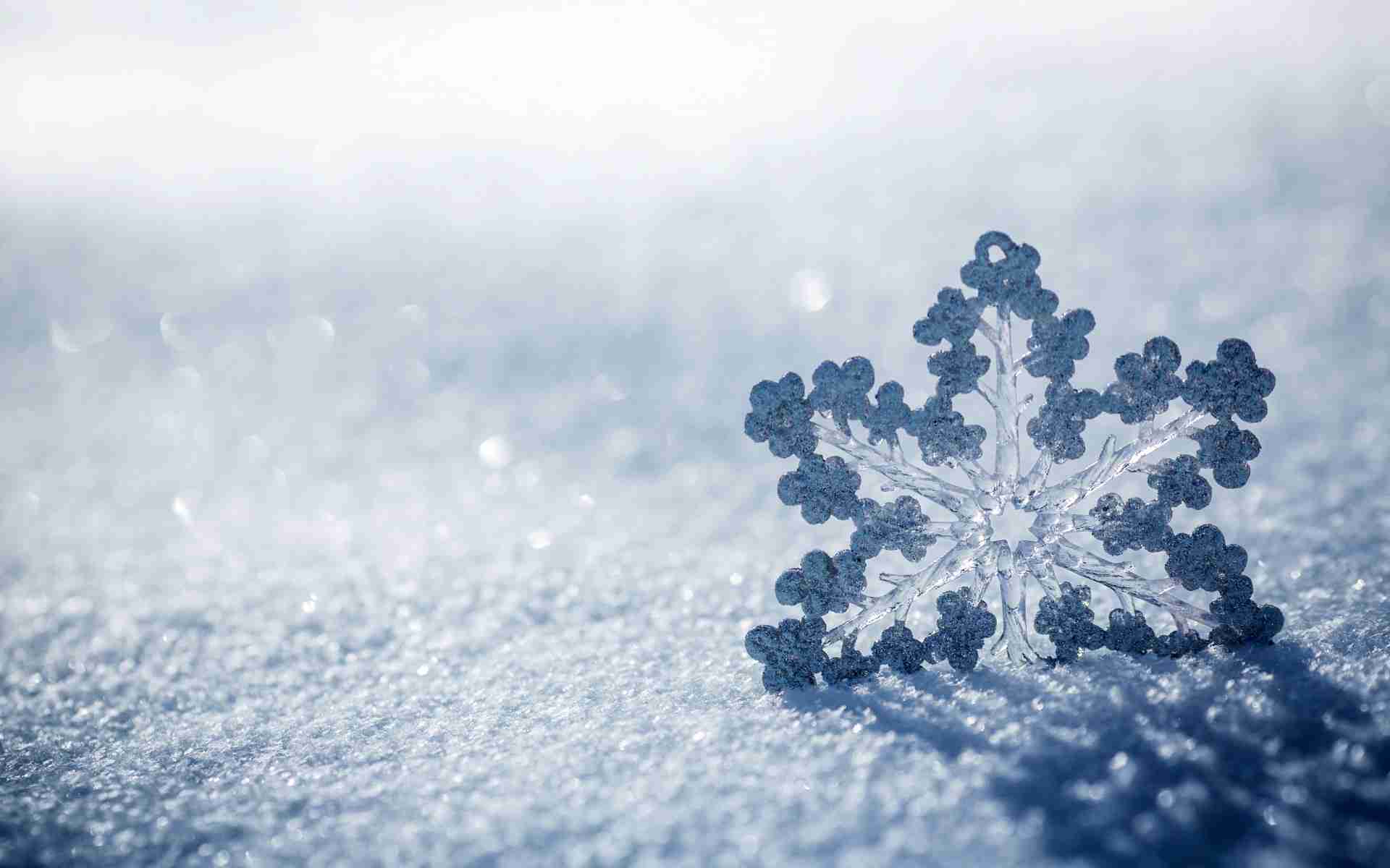 Why if is there the global warming it’s colder?