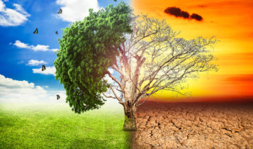 riscaldamento globale