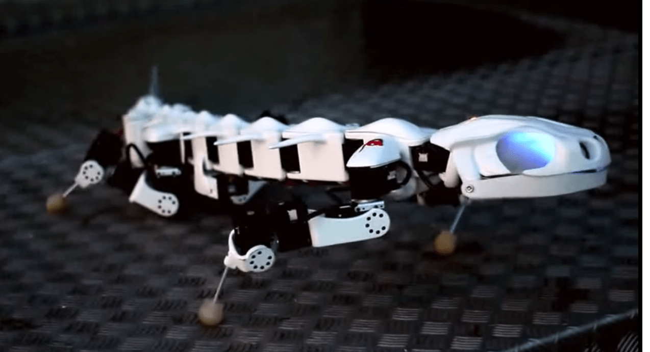 Robot inspired by nature