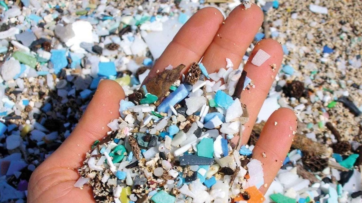 Microplastics'invasion