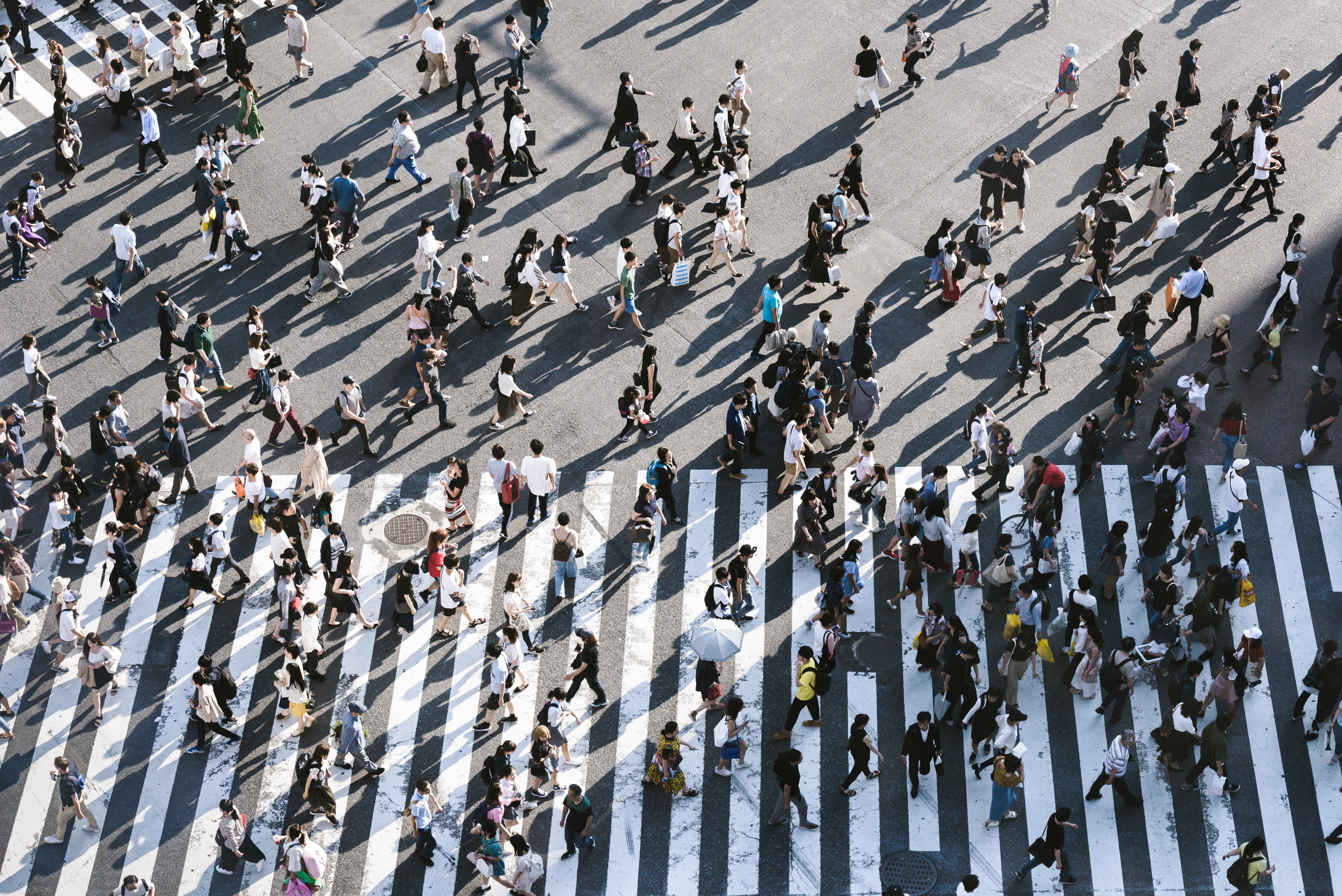 What is the Citizen Science and its last applications