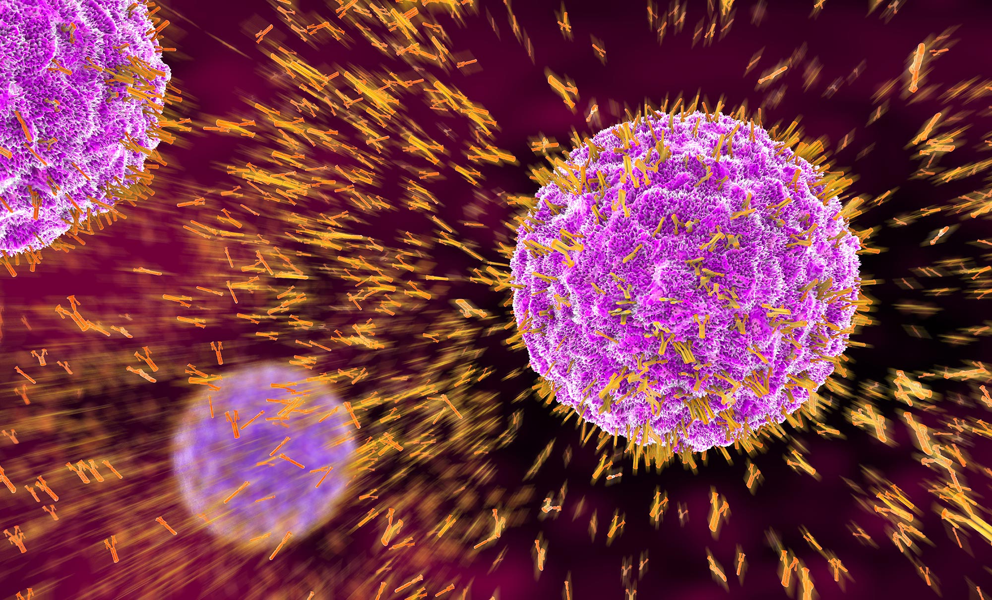 How does a virus spread?