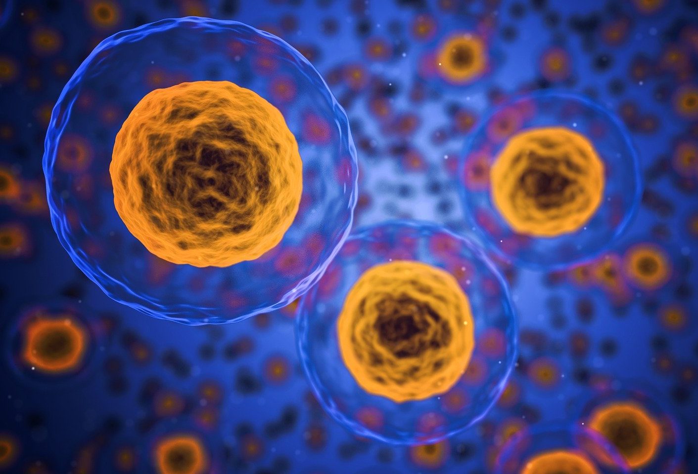 Coronavirus: come aiutare la ricerca