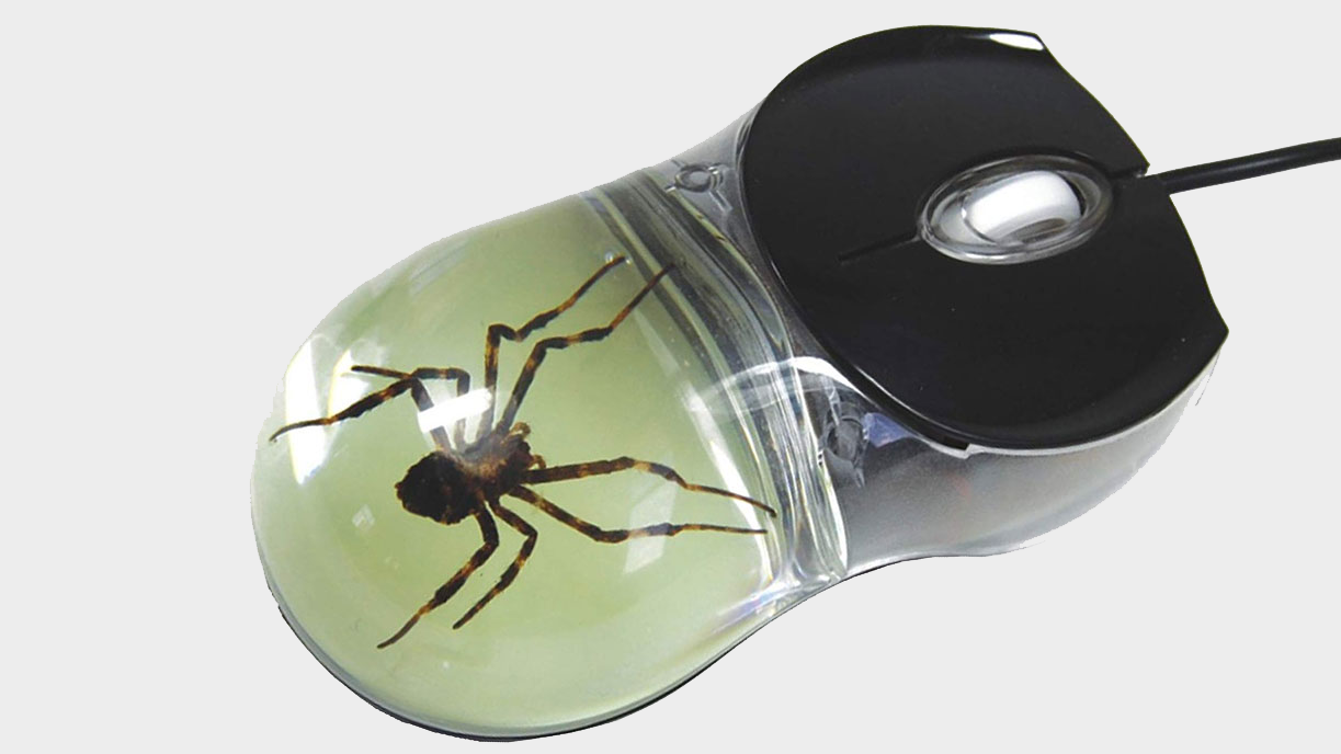 Lo spider mouse