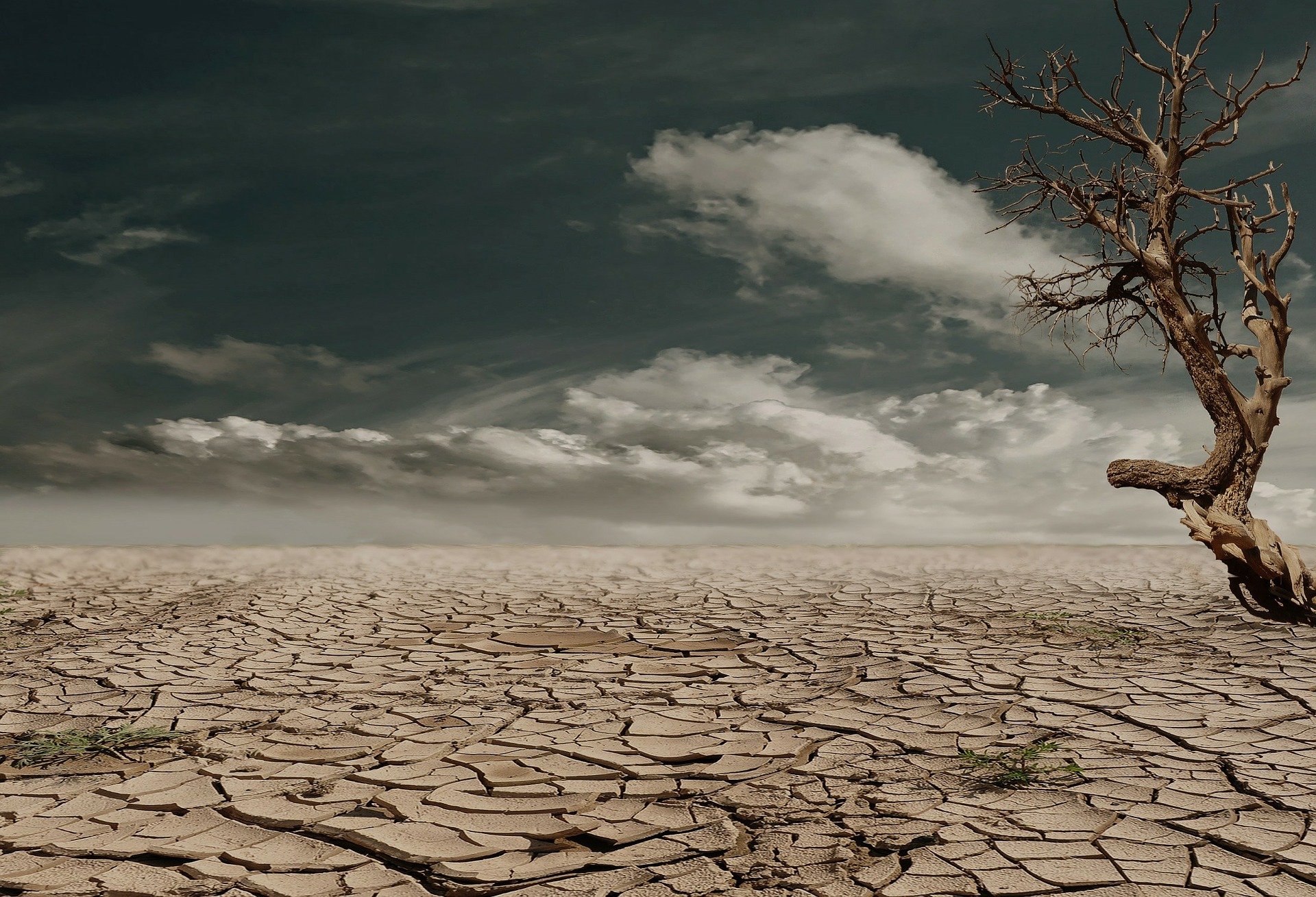 Quando l'acqua inizierà a scarseggiare