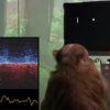 Neuralink