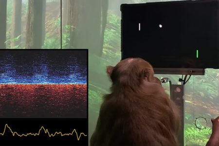Neuralink and the monkey that plays with mind