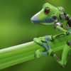xenobot novità in fatto di scienza