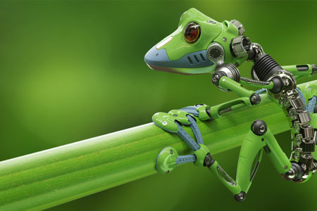 Xenobot: organisms that create themselves