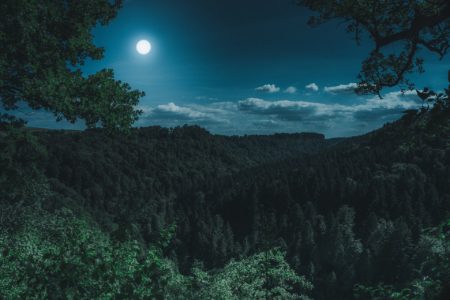 Cianobatteri e la vita sulla terra
