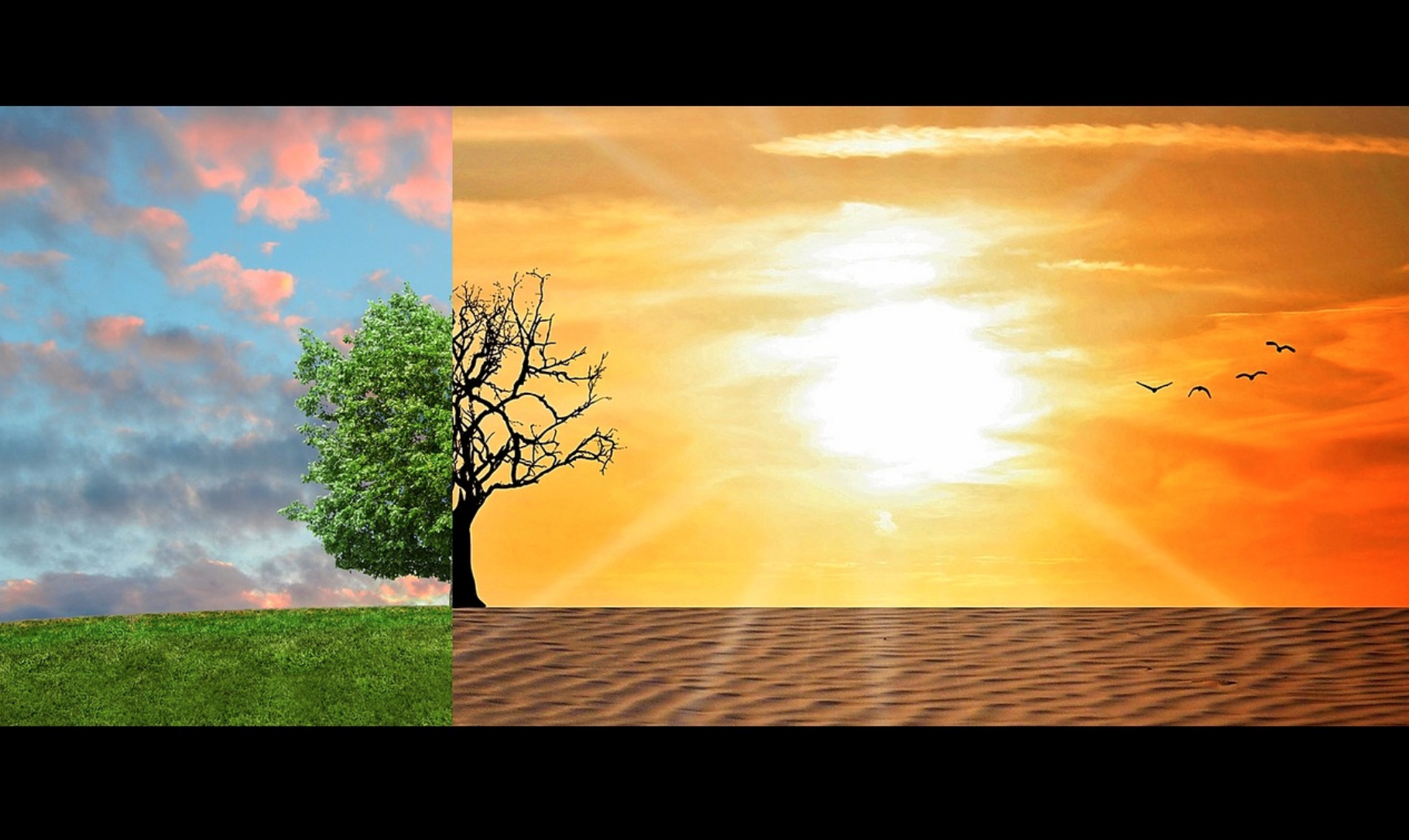 cambiamenti climatici