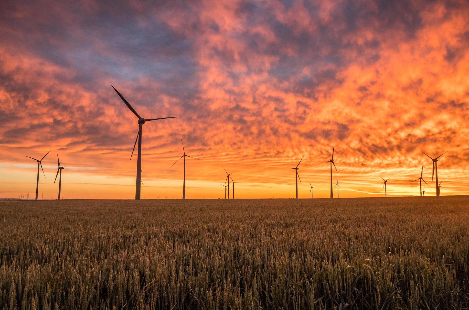 Energia rinnovabile