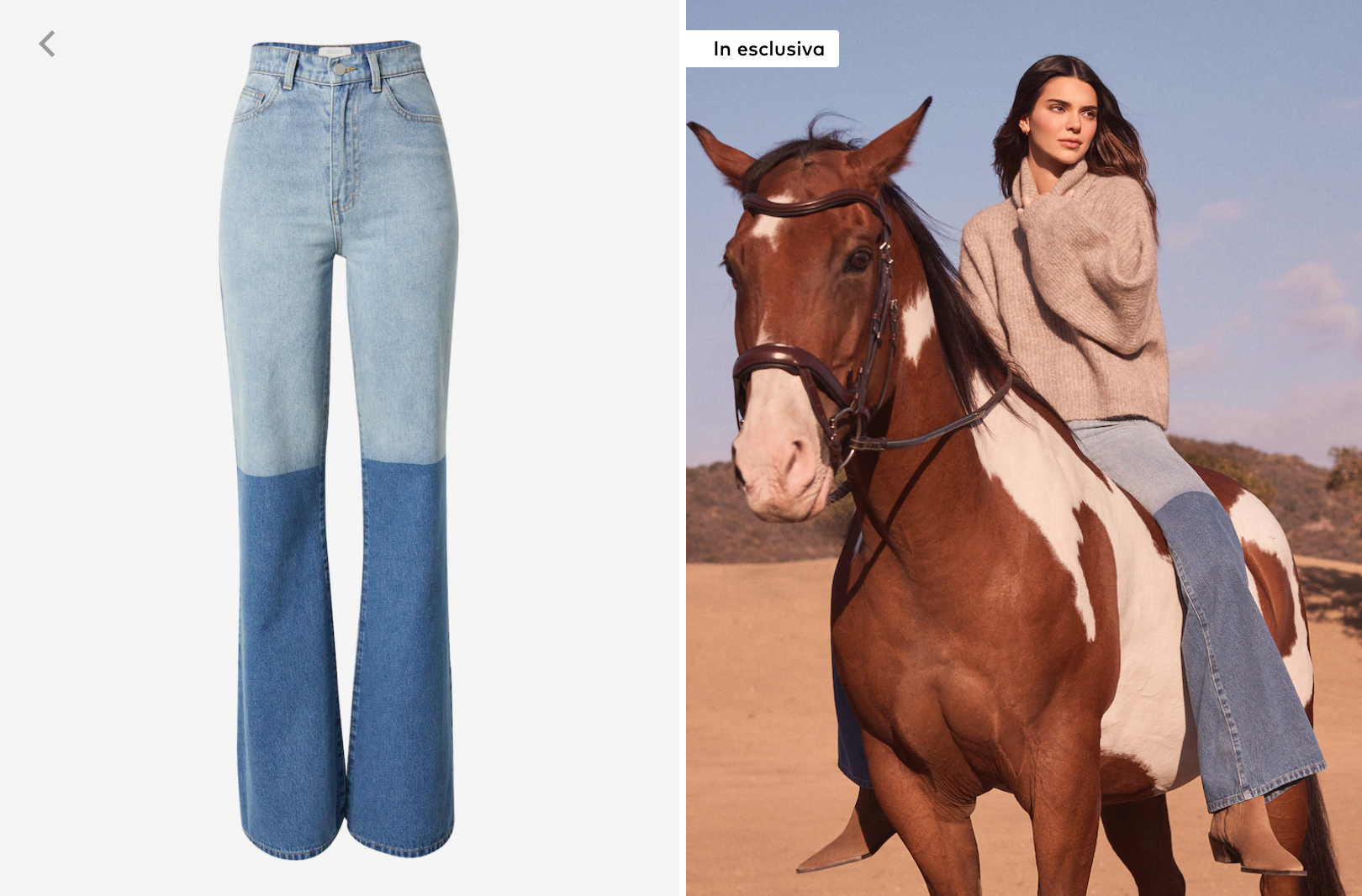 about you kendall jenner