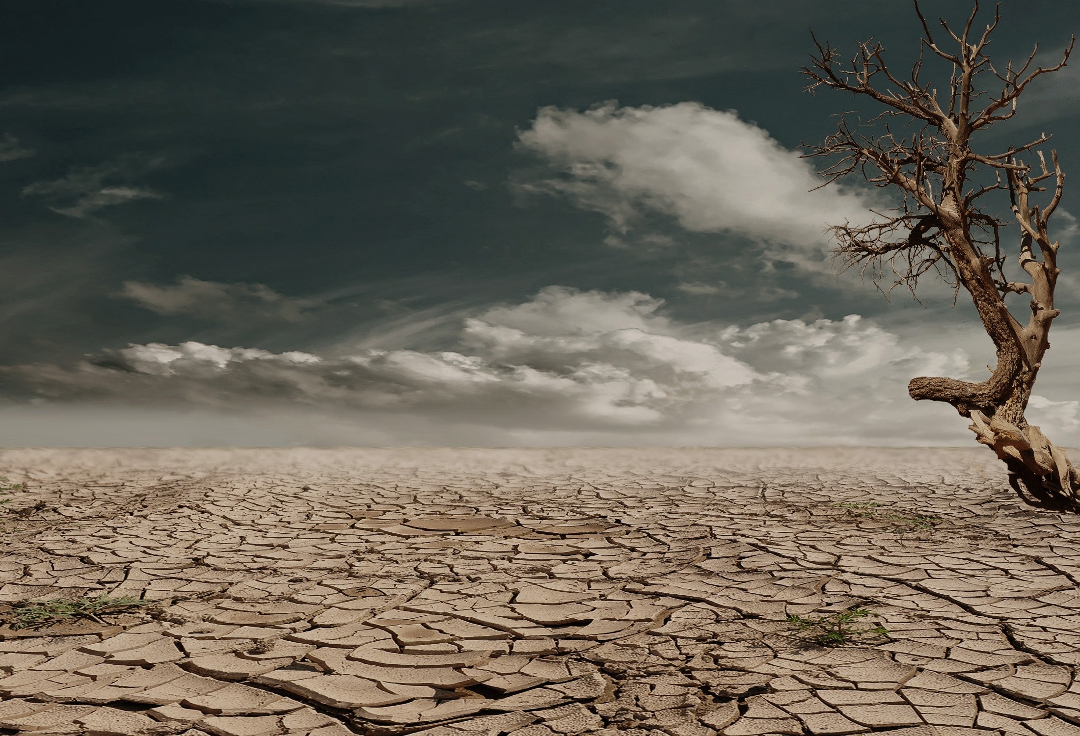 aumento della siccità caldo record