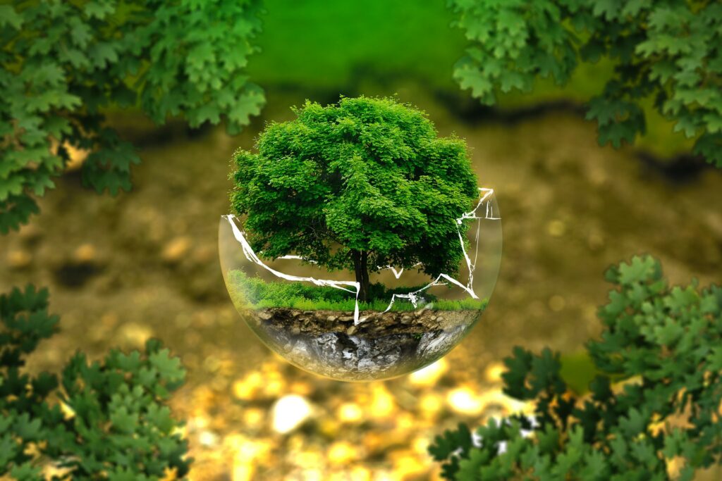 mobilità green grazie al platino