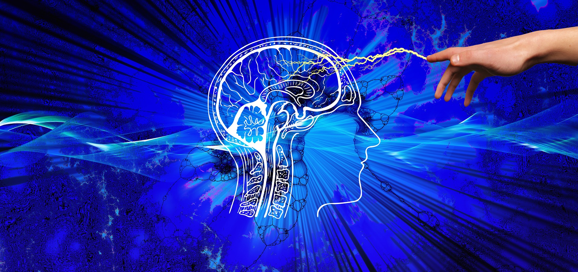 Ricordo e attività cerebrale