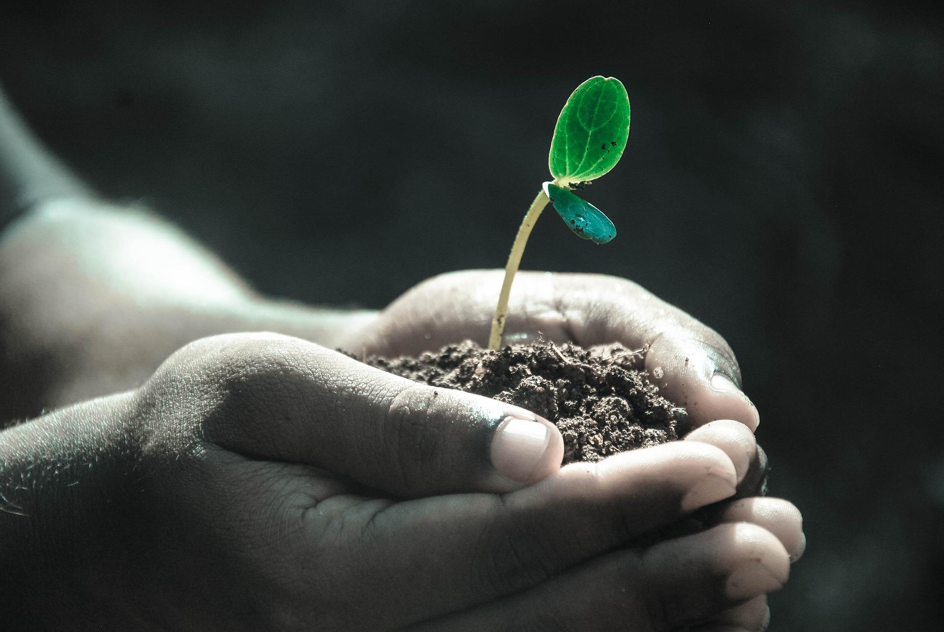 AirSeed Technology