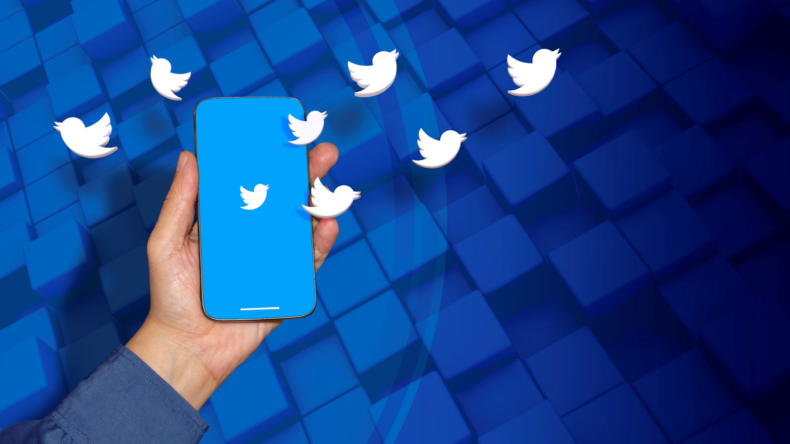 twitter blue pagina twitter