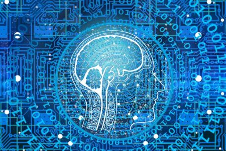 Biocomputer: computer fatti con le cellule del cervello
