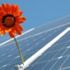 fotovoltaico ed ecosostenibilità