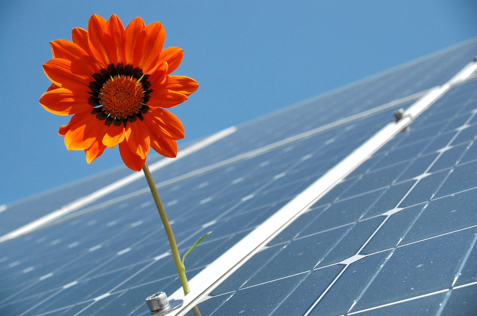 fotovoltaico ed ecosostenibilità