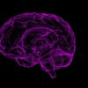 Neuralink