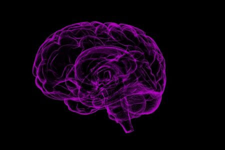 Neuralink può partire con i test sugli esseri umani