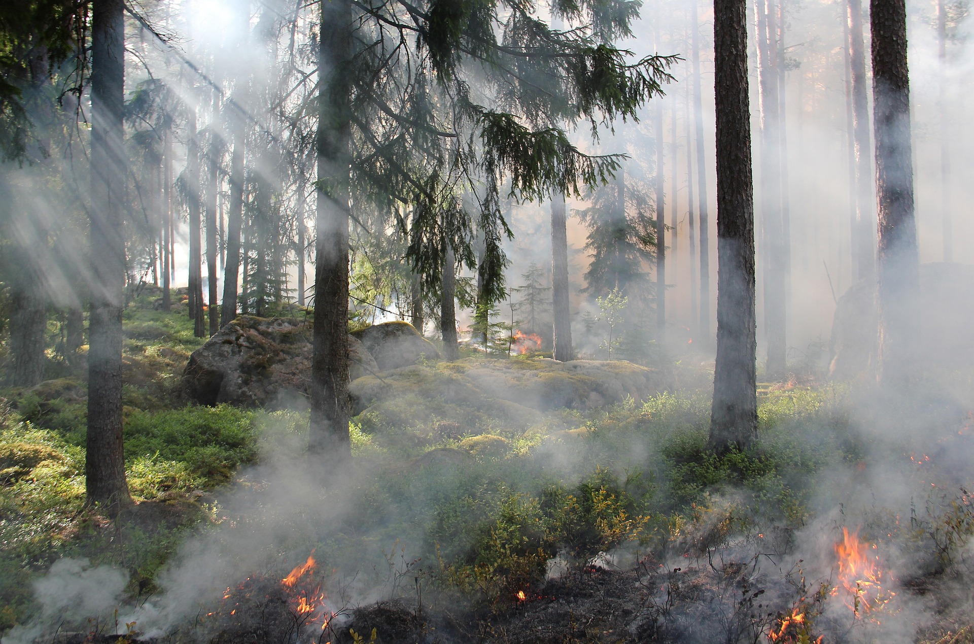 terra e incendi 2023