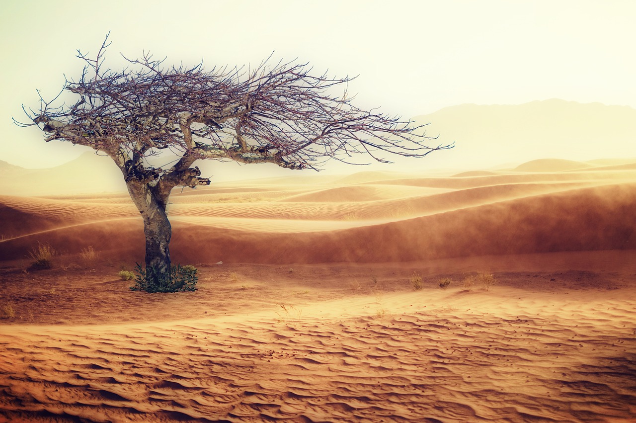 Cambiamento climatico