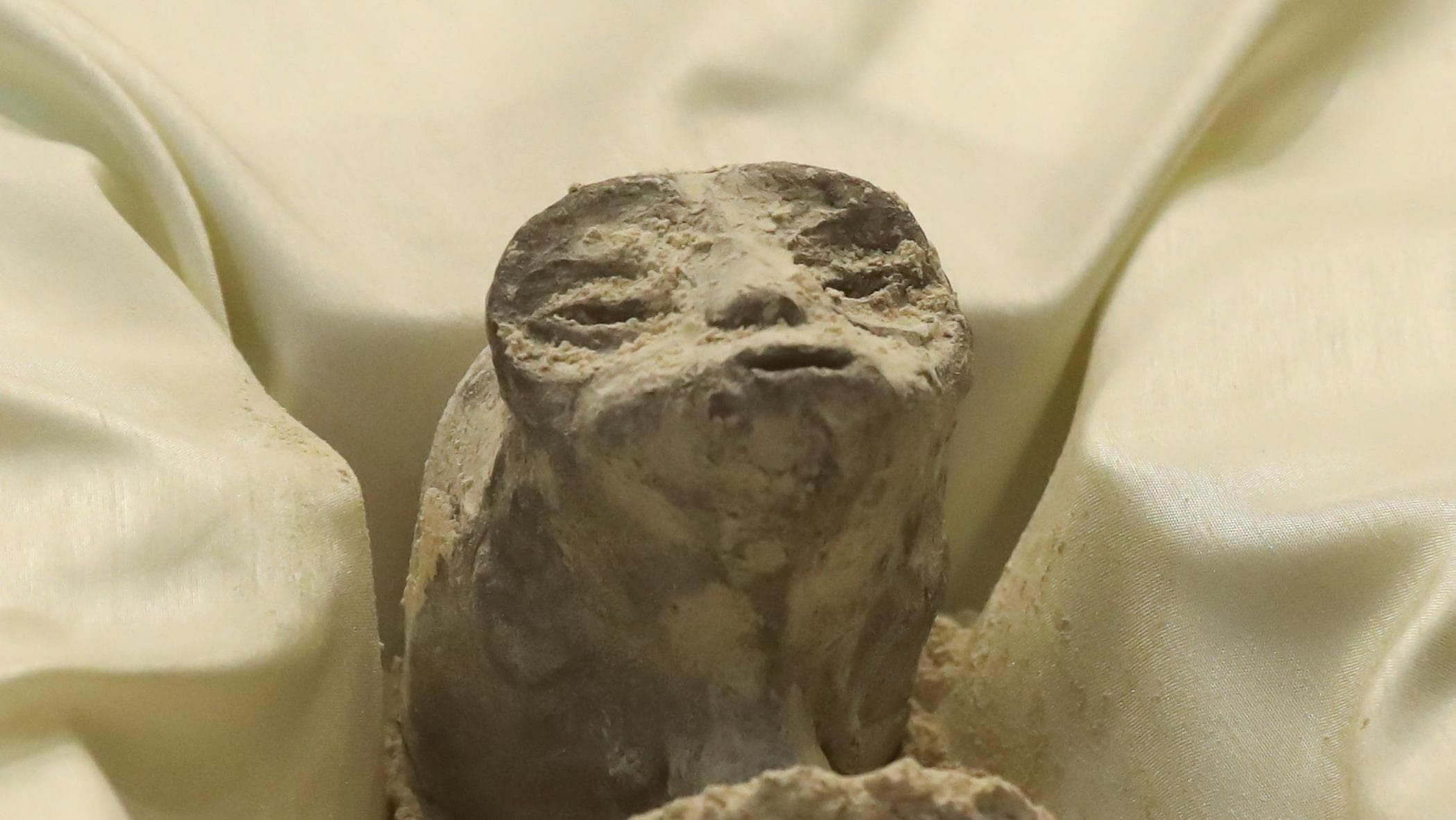 Gli alieni del Messico