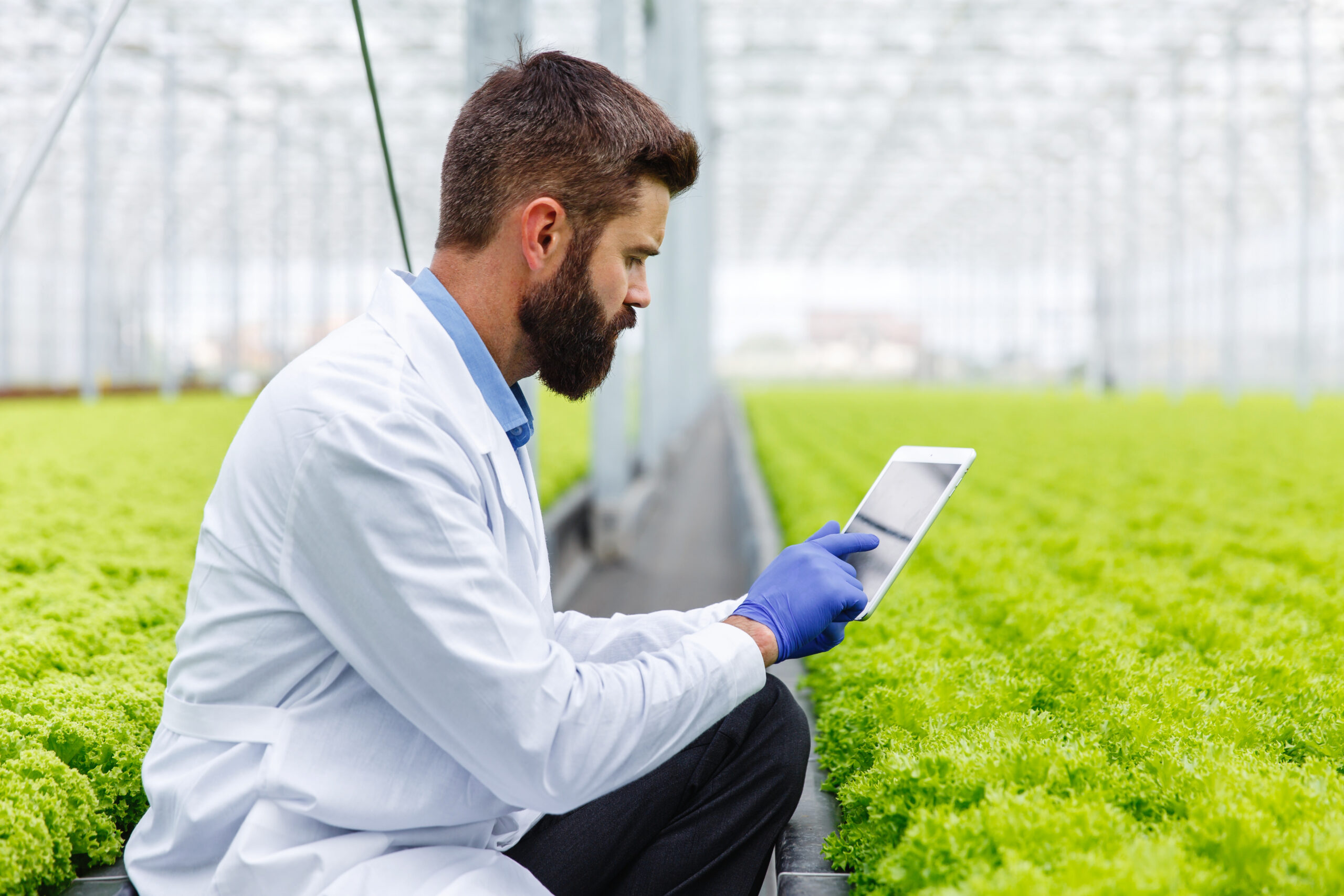 industria alimentare e tecnologia