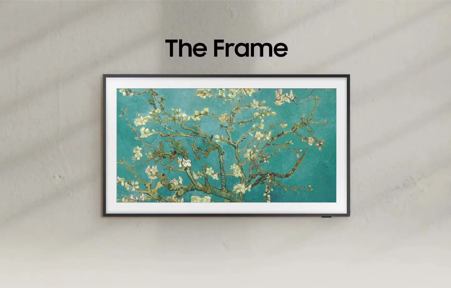 lifestyle 2024 the frame