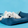 cuccia autosanificante per cani smart