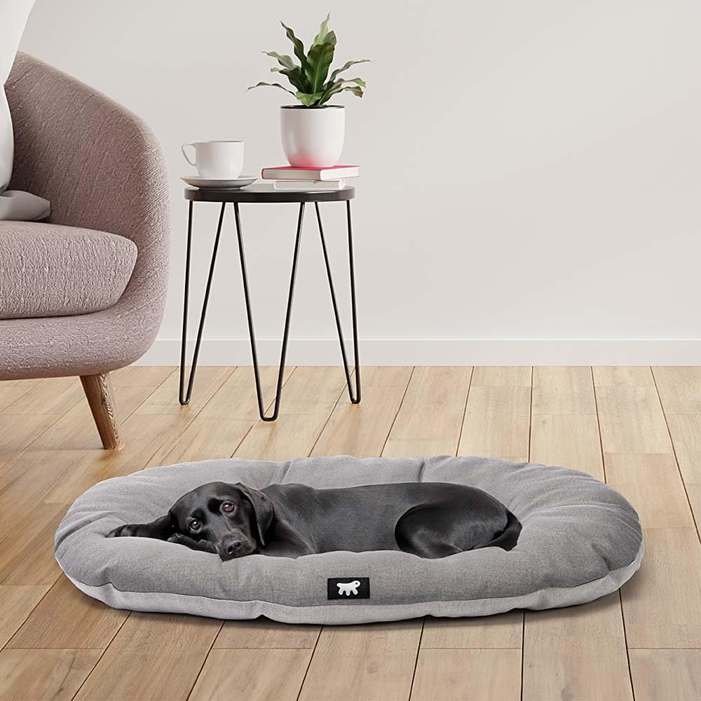 cuccia autosanificante