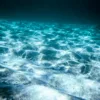 ossigeno oscuro nuova scoperta scientifica
