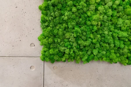 Tetti Verdi per edifici ecosostenibili
