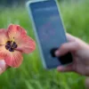biodiversità e tecnologia