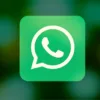 Liste personalizzate di WhatsApp