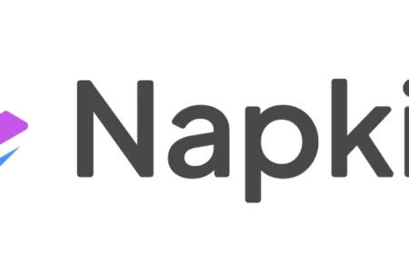 Napkin AI per grafici in un click