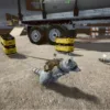 wanted raccoon