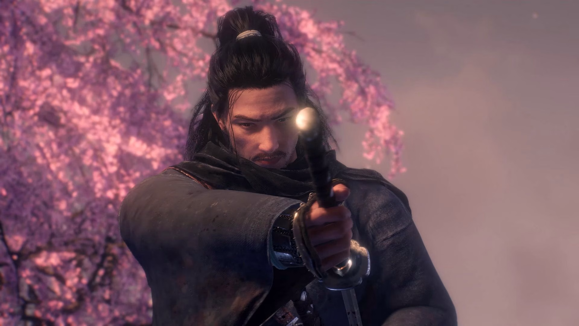 Rise of the Ronin
