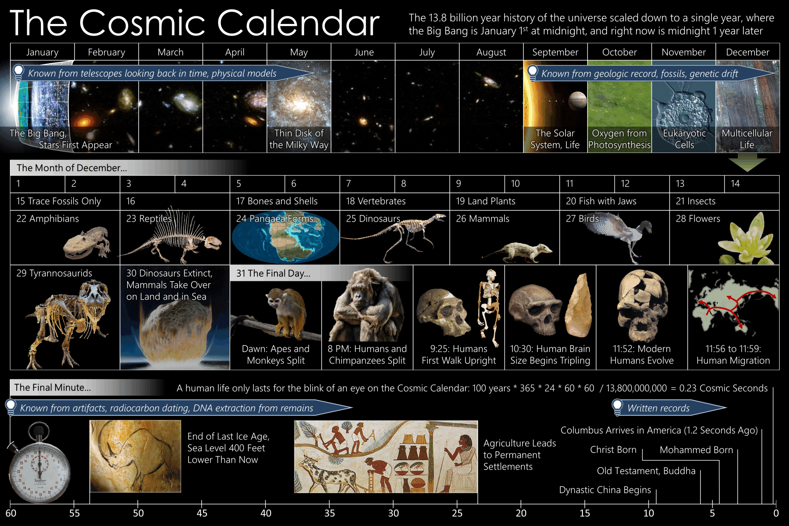 La storia dell'universo racchiusa in un anno